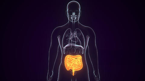 gas-intestinal