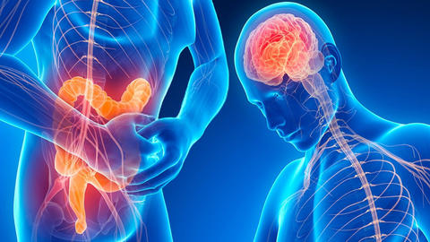 puente_intestino_cerebro
