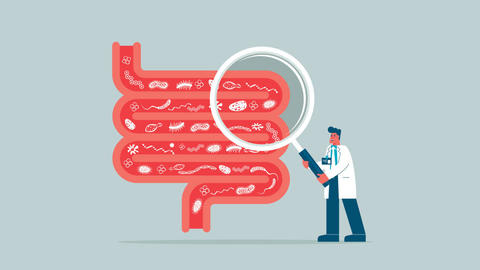 desequilibrio_microbiota