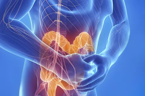 header_eje_intestino_cerebro