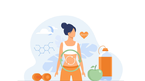 ilustración_función_gastrointestinal
