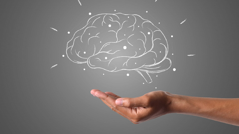 ilustración_cerebro