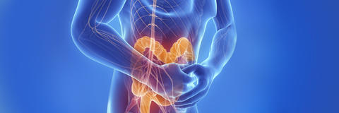 header_eje_intestino_cerebro