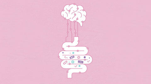 conexión_intestino_cerebro