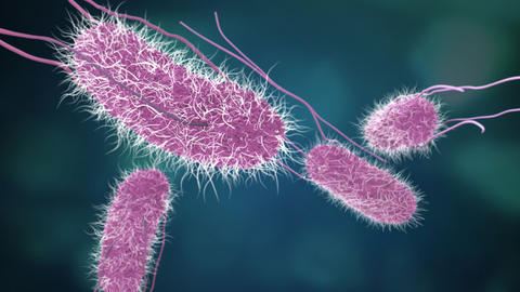 enzimas_microbiota_intestinal